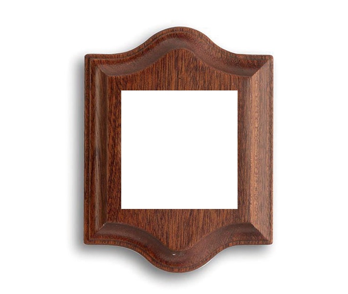 Venezia plaque de finition classique/carré 1 module Sapelly