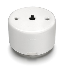 [33.328.17.1] DO surface installation rotary push button switch 10A/250V AC porcelain white