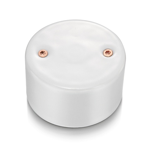 [33.656.13.2] DO installation en saillie couvercle aveugle en porcelaine blanche, vis cuivrés